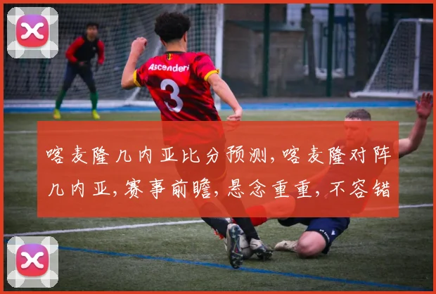喀麦隆几内亚比分预测,喀麦隆对阵几内亚,赛事前瞻,悬念重重,不容错过,一触即发